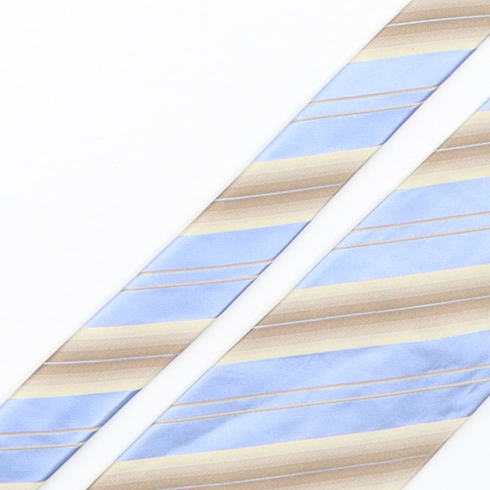 Mens Fellini Multicoloured Striped  Pointed Tie