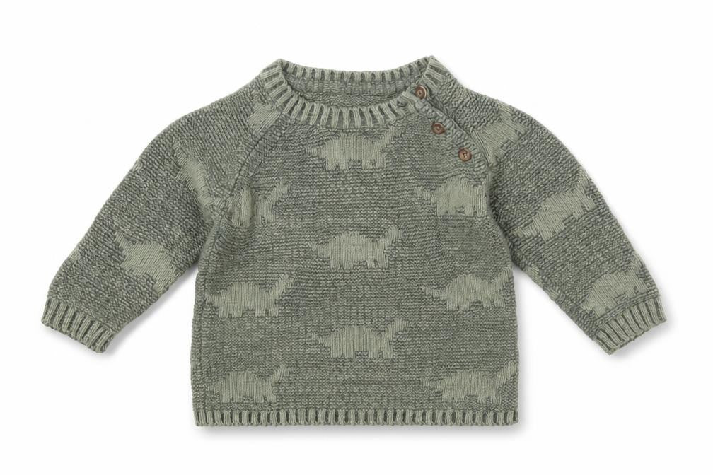 Front view of George boys’ green 100% cotton jumper, size 3-6, months button - dinosaurs