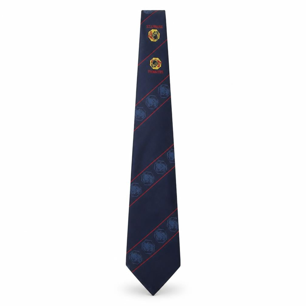 Front view of Concept men’s multicoloured striped polyester pointed tie one size