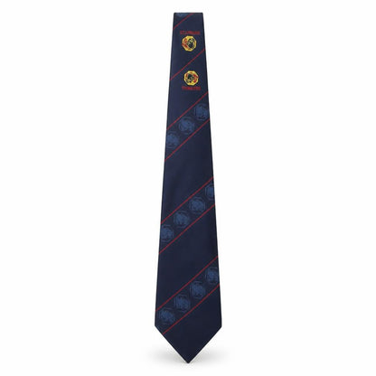 Front view of Concept men’s multicoloured striped polyester pointed tie one size