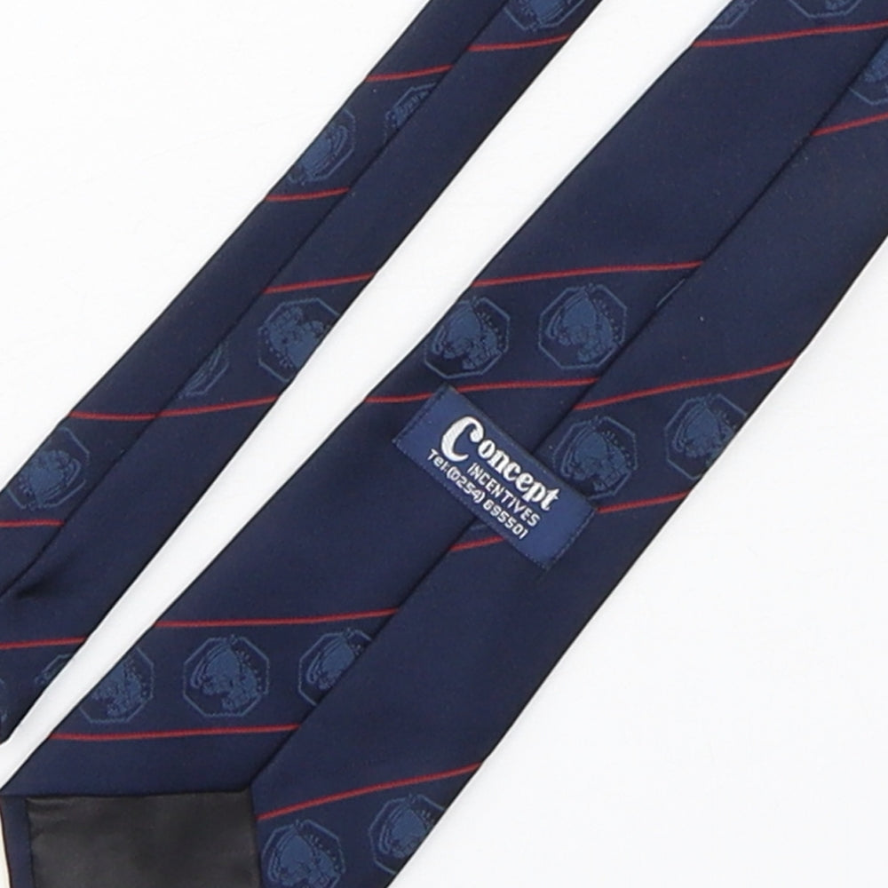 Brand and care label for Concept men’s multicoloured striped polyester pointed tie one size