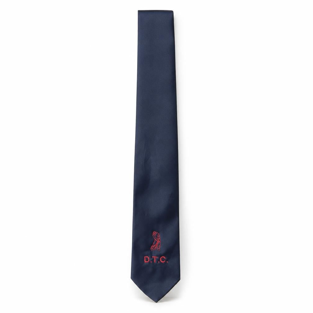 Front view of Gold Bear men’s blue polyester pointed tie one size