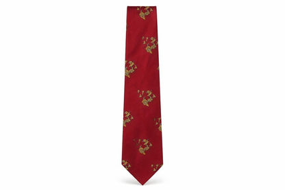 Mens Carlo Colombo Red Striped  Pointed Tie