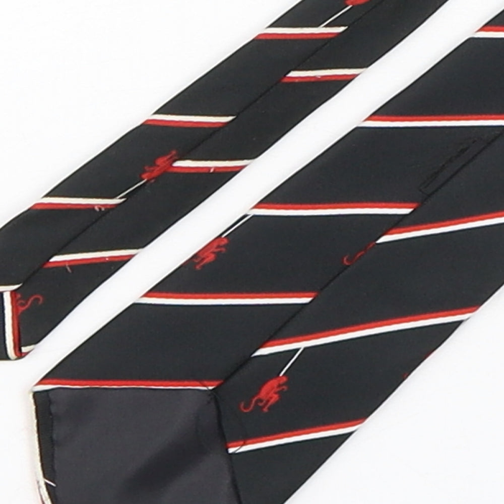 PreWorn  Mens Multicoloured Striped Polyester Pointed Tie One Size