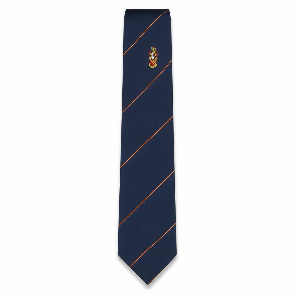 Front view of Peter Klinger men’s multicoloured striped polyester pointed tie one size