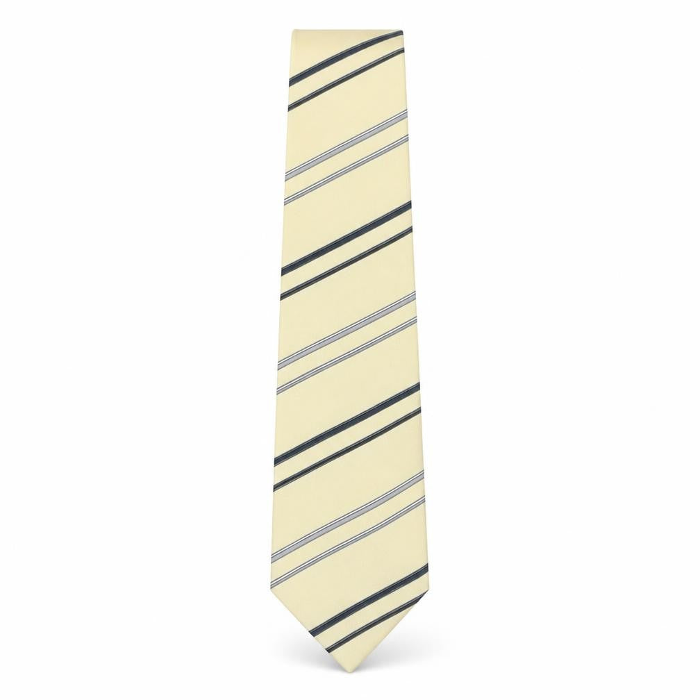 Front view of Francesco men’s beige striped silk pointed tie one size