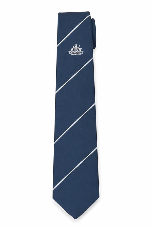 Front view of a. Royale men’s green striped polyester pointed tie one size - australia