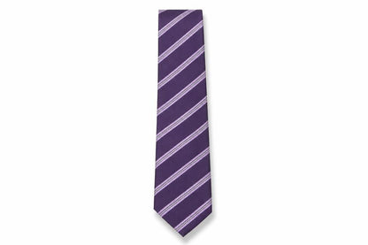 Mens Greenwoods Purple Striped  Pointed Tie
