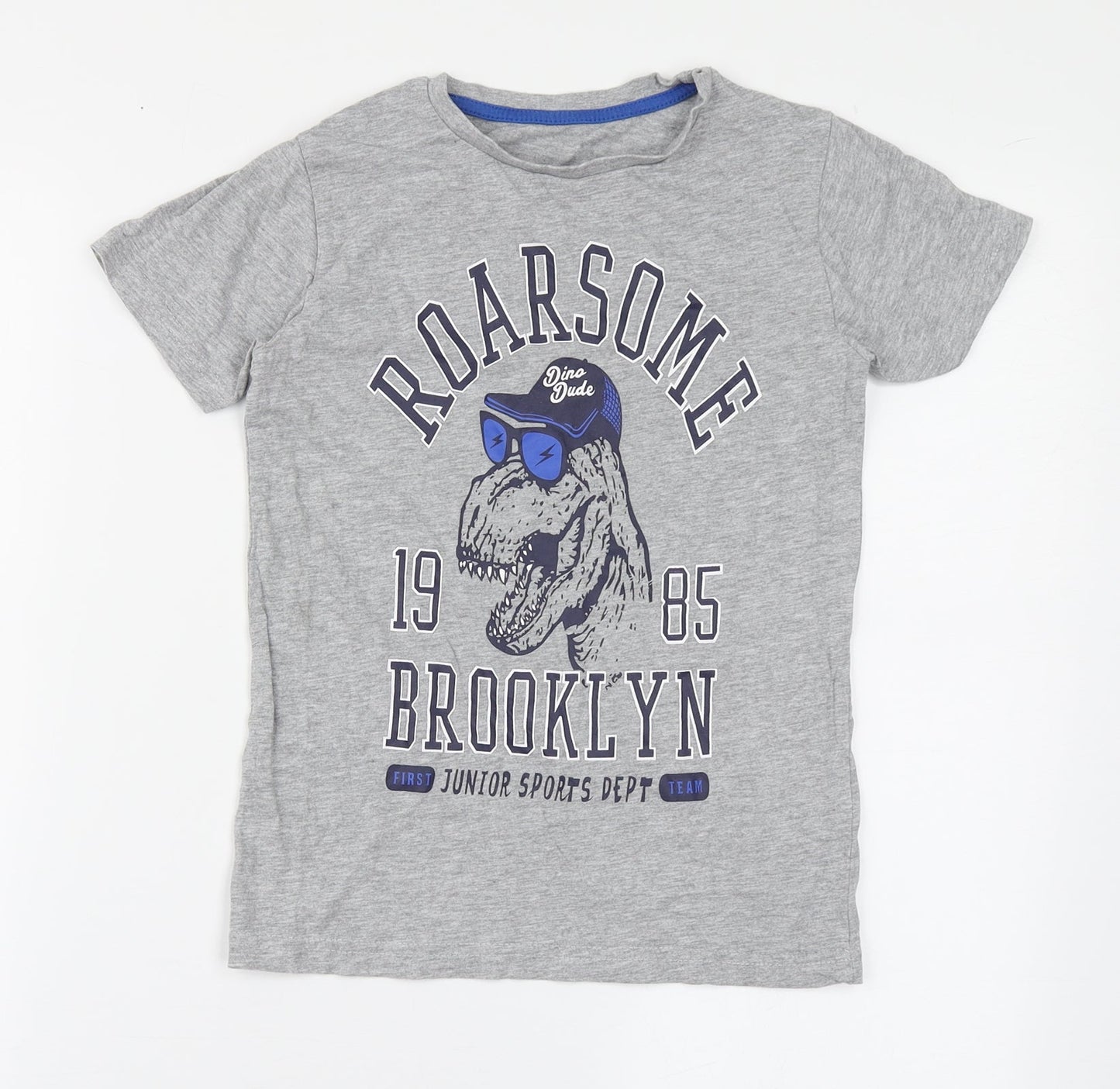 Dunnes Stores Boys Grey  Cotton Basic T-Shirt Size 8 Years Round Neck Pullover - Roarsome, Dinosaur
