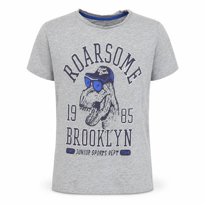 Front view of Dunnes boys’ grey cotton basic t-shirt, size 8, years round neck pullover - roarsome, dinosaur