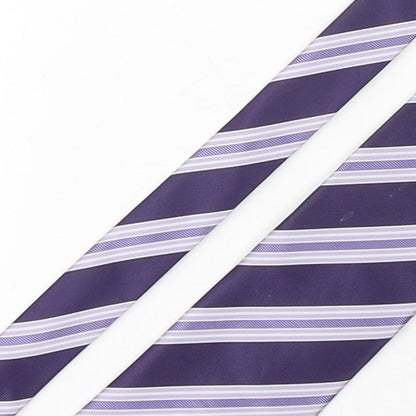 Mens Cedar Wood State Purple Striped  Pointed Tie