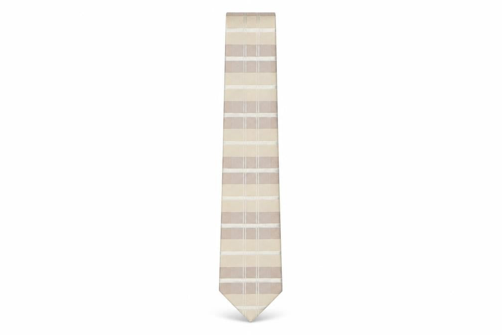 Mens NEXT Multicoloured Plaids & Checks  Pointed Tie