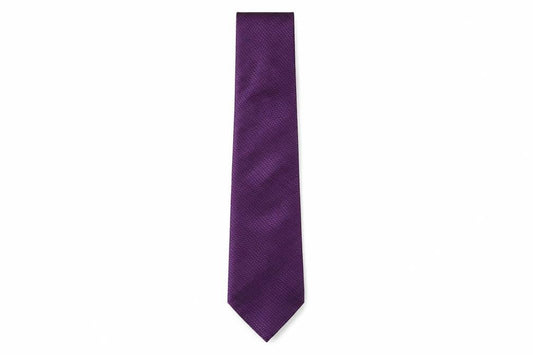 Front view of Burton men’s purple grenadine polyester pointed tie one size