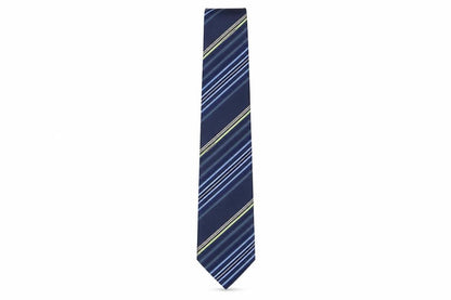 Mens NEXT Multicoloured Striped  Pointed Tie