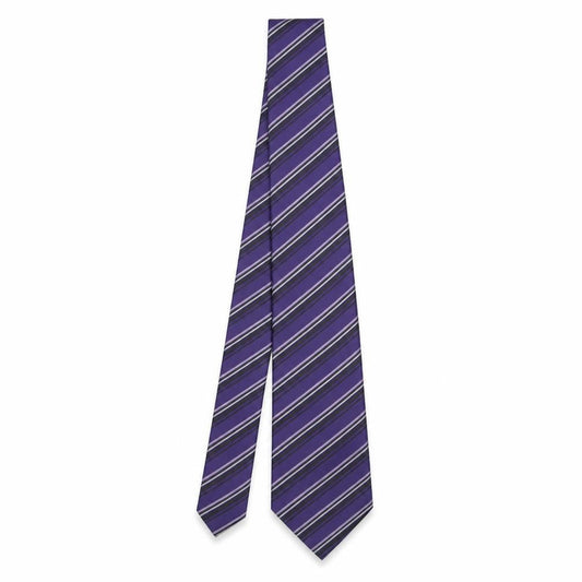 Front view of Burton men’s multicoloured striped polyester pointed tie one size