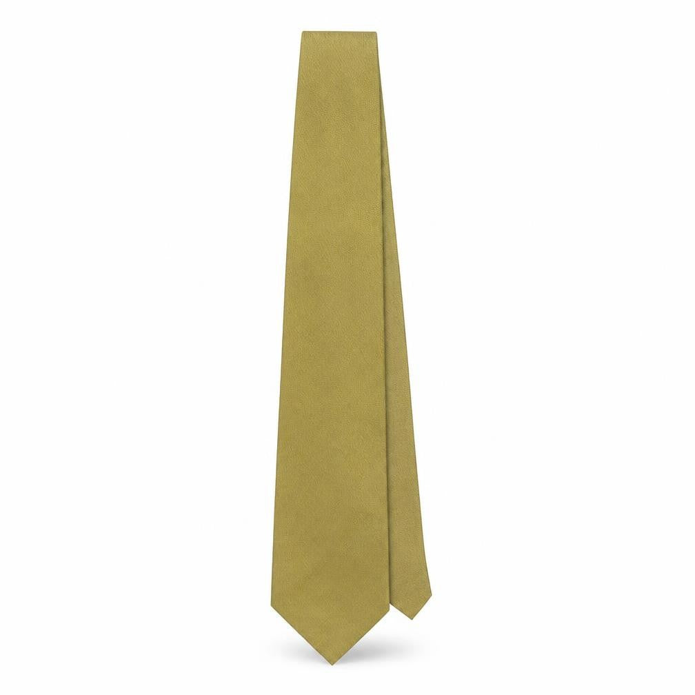 Mens Van Girls Green No Pattern  Pointed Tie