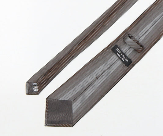 Autograph Mens Brown Striped Silk Pointed Tie One Size