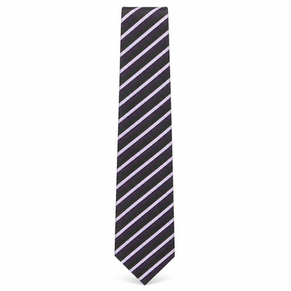 Mens Skopes Multicoloured Striped  Pointed Tie