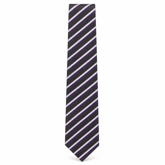 Front view of Skopes men’s multicoloured striped polyester pointed tie one size
