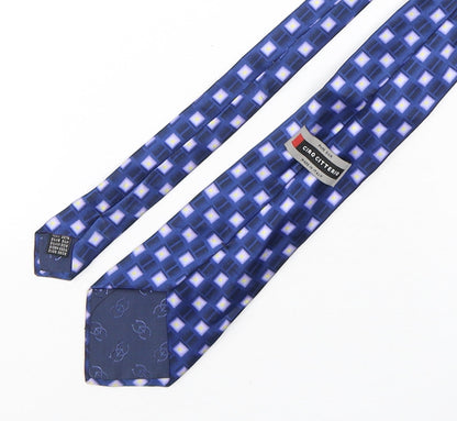 Mens Ciro Citterio Blue Plaids & Checks  Pointed Tie