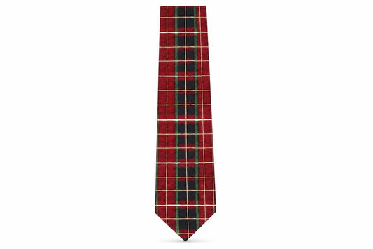 Front view of Woods & Gray men’s multicoloured plaids & checks silk pointed tie one size