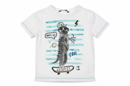 Front view of George girls’ white cotton basic t-shirt, size 2-3, years crew neck pullover - meerkat