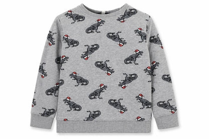 Front view of Urban Rascals boys’ grey cotton pullover sweatshirt, size 5-6, years pullover - christmas- dinosaur