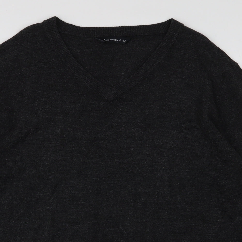 Cedar Wood State Mens Grey V-Neck  Acrylic Pullover Jumper Size M