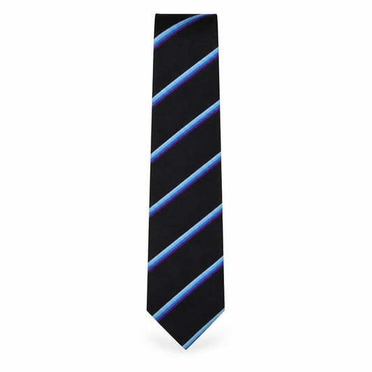 Front view of Triad men’s multicoloured striped polyester pointed tie one size