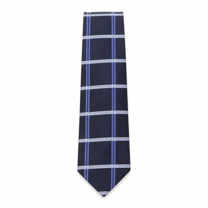 Mens Greenwoods Blue Plaids & Checks  Pointed Tie
