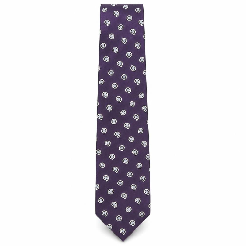 Front view of Aspen & Court men’s purple paisley polyester pointed tie one size