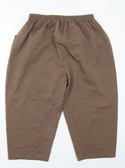 Womens UK Size 30 in Preworn Regular Fit  Brown Trousers