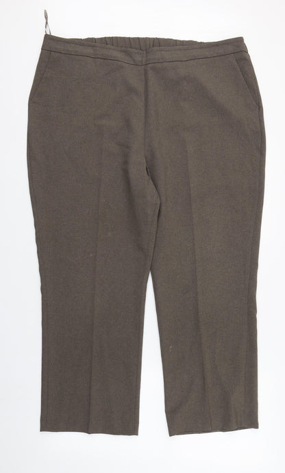 Bonmarché Womens Brown  Polyester Dress Pants Trousers Size 20 L26 in Regular Zip