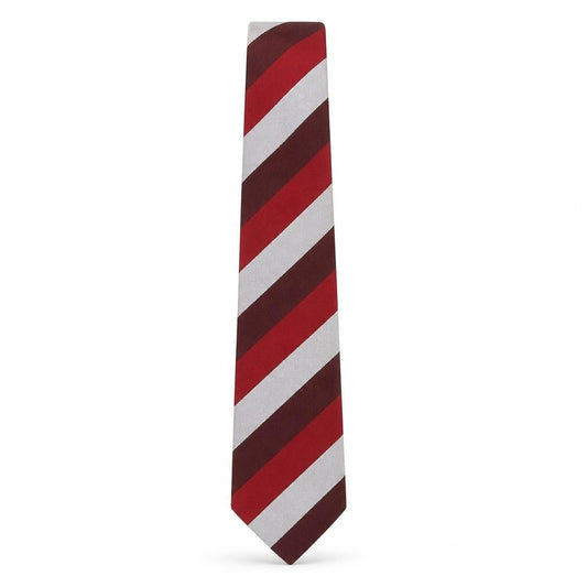 Front view of Prova men’s multicoloured striped polyester pointed tie one size