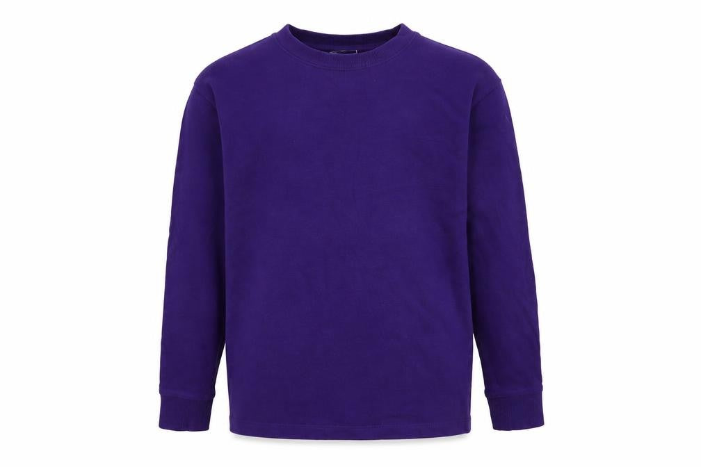Front view of Next boys’ purple 100% cotton pullover sweatshirt, size 10, years pullover