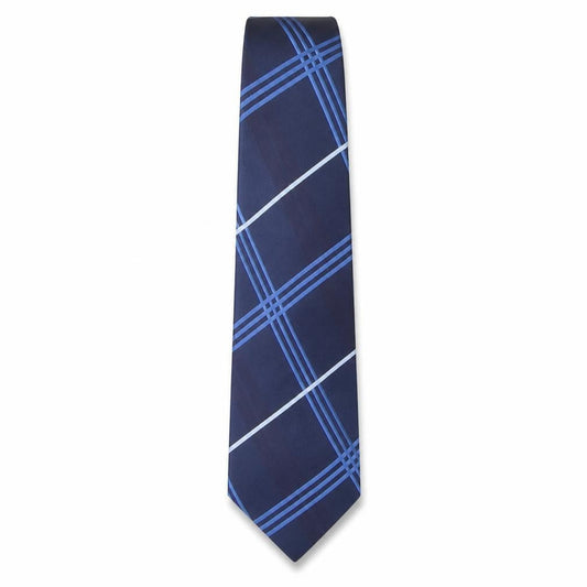 Front view of Tie Rack men’s blue plaids & checks silk pointed tie one size