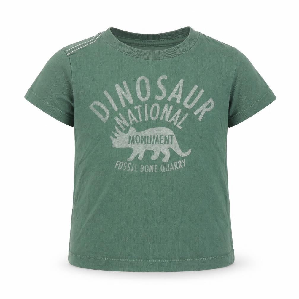Front view of Little Peanut boys’ green cotton basic t-shirt, size 6-9, months round neck pullover - dinosaur