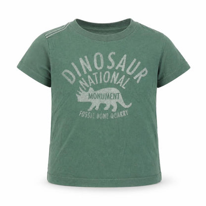 Front view of Little Peanut boys’ green cotton basic t-shirt, size 6-9, months round neck pullover - dinosaur