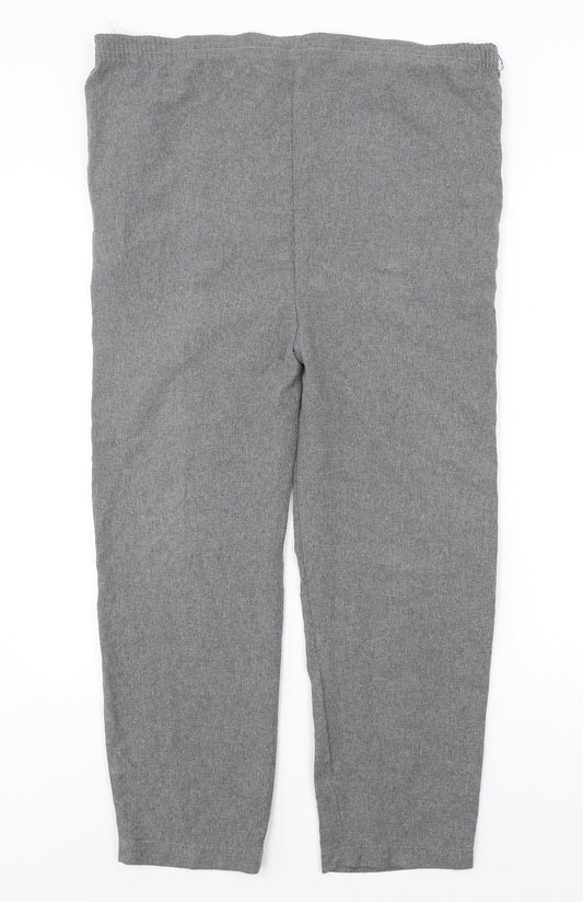 Womens UK Size 10 NSF Regular Fit  Grey Trousers