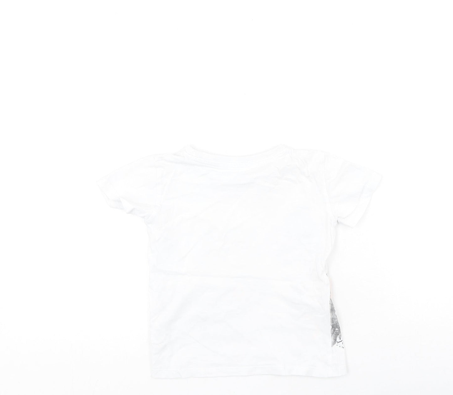 Dunnes Stores Boys White  Cotton Basic Casual Size 2-3 Years Round Neck  - Dinosaur, SUMMER SURF DUDE!