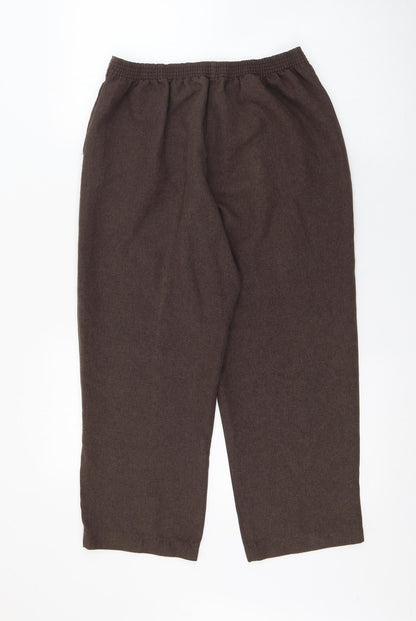 Bonmarché Womens Brown  Polyester Trousers  Size 10 L21.5 in Regular