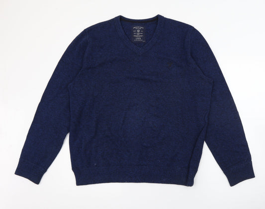 American Eagle Outfitters Mens Blue V-Neck  Cotton Pullover Jumper Size L