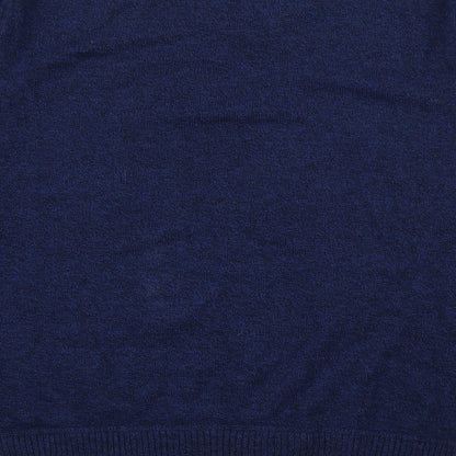 American Eagle Outfitters Mens Blue V-Neck  Cotton Pullover Jumper Size L