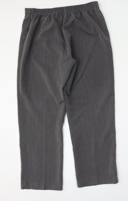 BASSINI Womens Grey  Polyester Trousers  Size 32 L28 in Regular