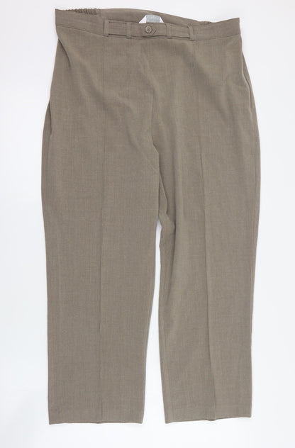 Classics Womens Brown  Polyester Dress Pants Trousers Size 16 L26 in Regular Button