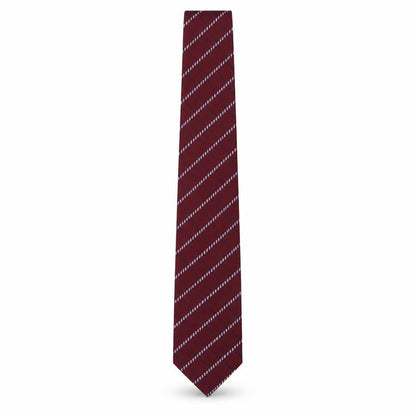 Mens Woodstock Multicoloured Striped  Pointed Tie