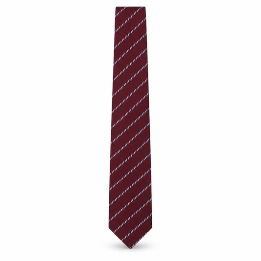 Mens Woodstock Multicoloured Striped  Pointed Tie