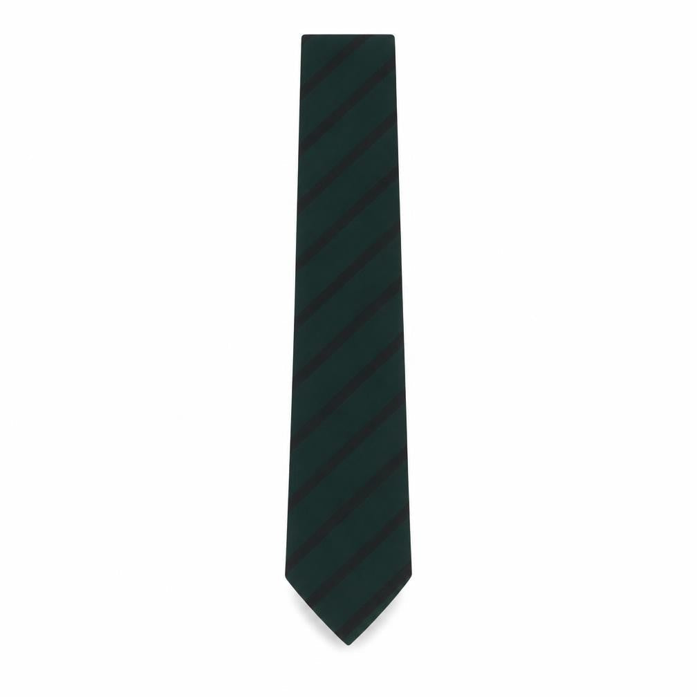 Mens Preworn Multicoloured Striped  Pointed Tie
