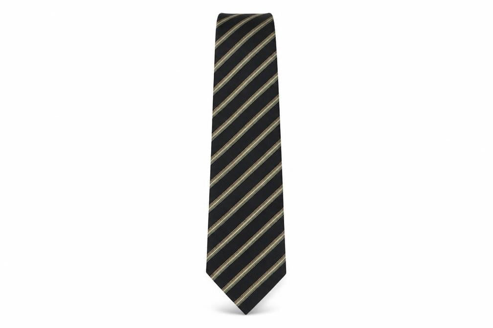 Mens Paul Costelloe Multicoloured Striped  Pointed Tie