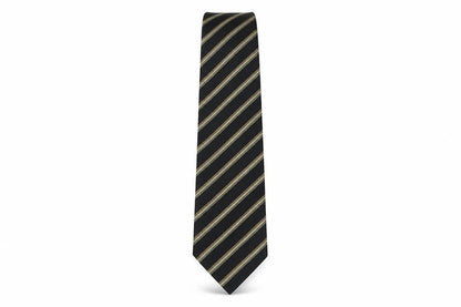 Mens Paul Costelloe Multicoloured Striped  Pointed Tie